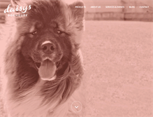Tablet Screenshot of buffalopetstore.com